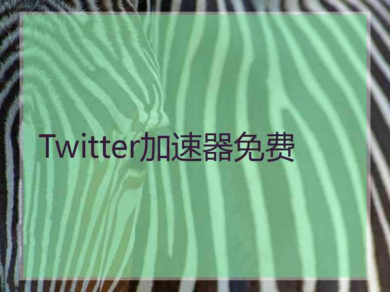 Twitter加速器免费