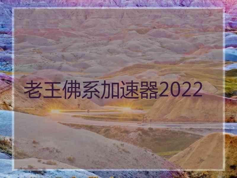 老王佛系加速器2022