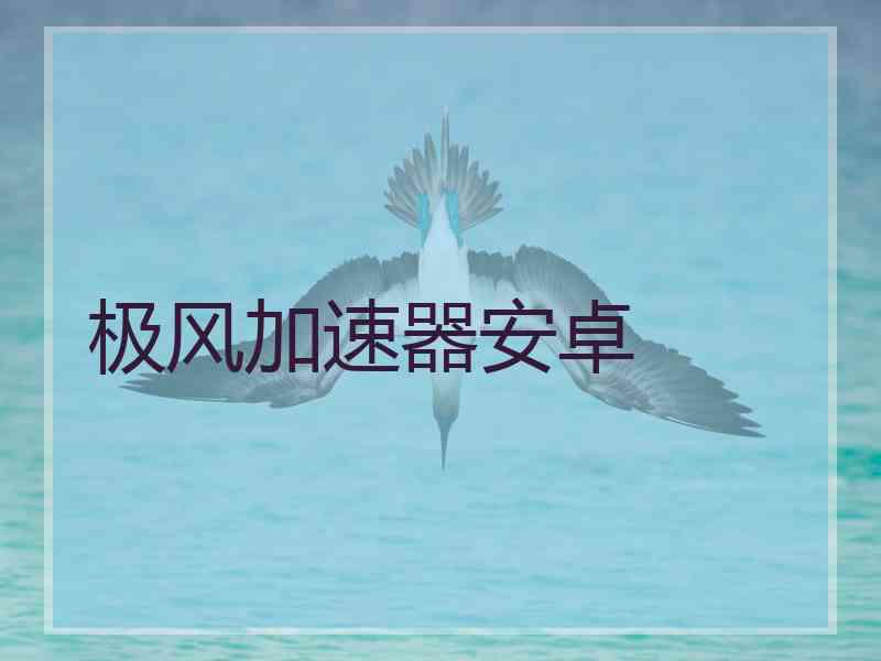 极风加速器安卓