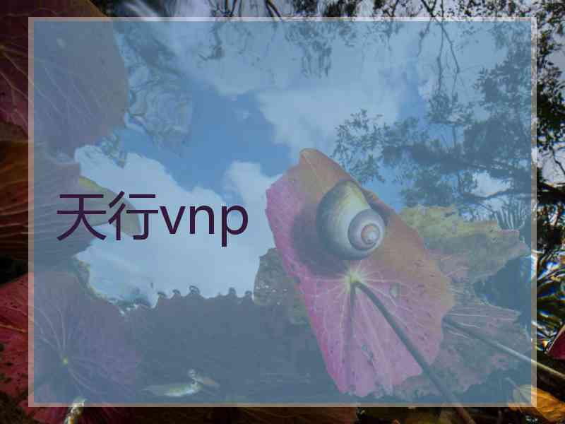 天行vnp