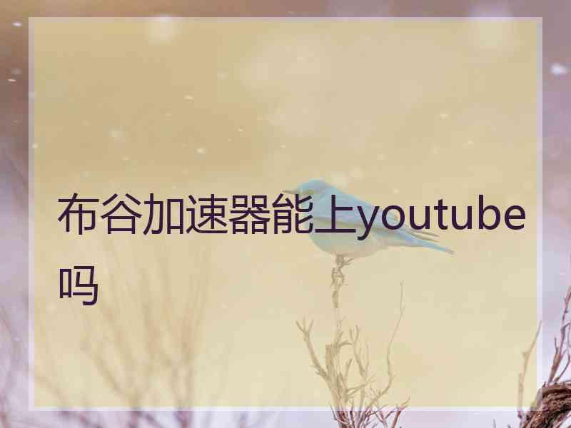 布谷加速器能上youtube吗