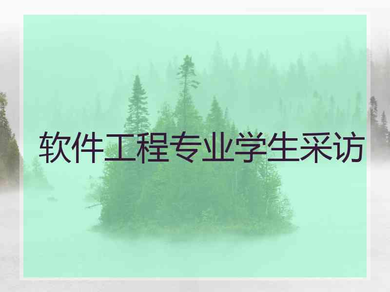软件工程专业学生采访