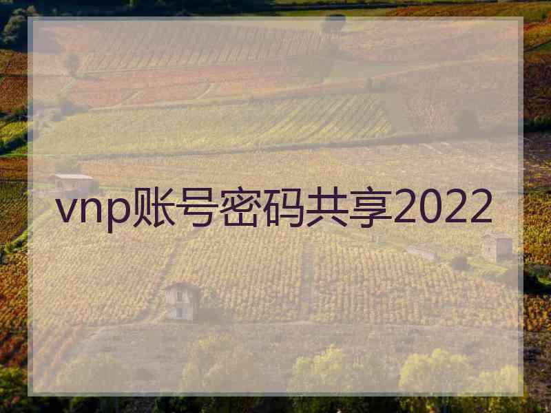 vnp账号密码共享2022
