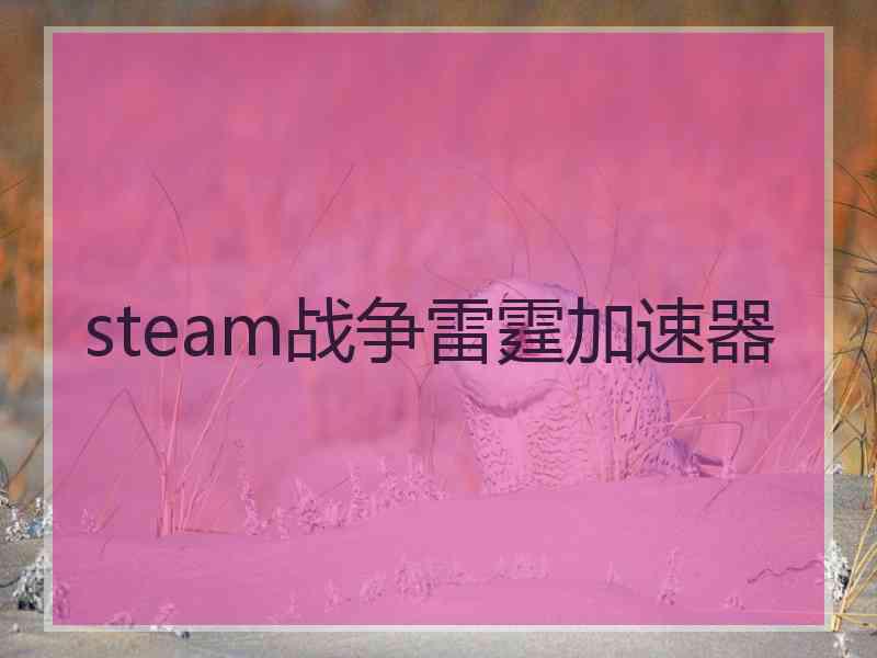 steam战争雷霆加速器