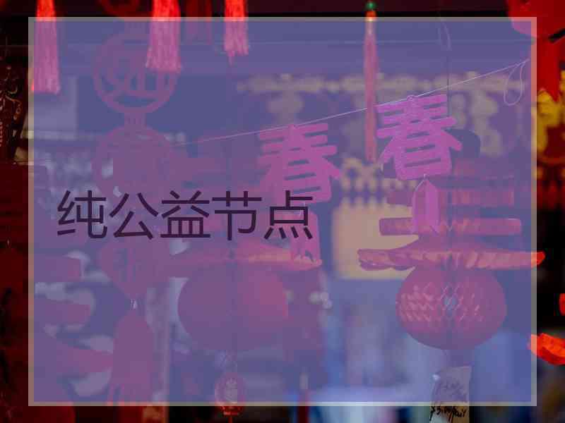 纯公益节点
