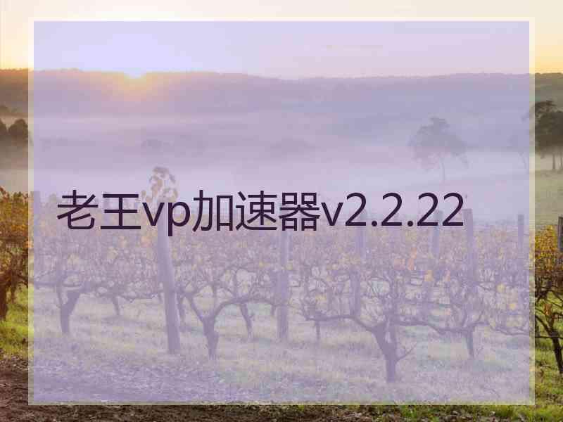 老王vp加速器v2.2.22