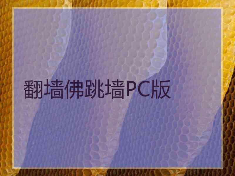 翻墙佛跳墙PC版