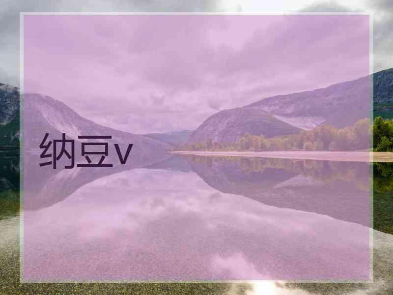 纳豆v