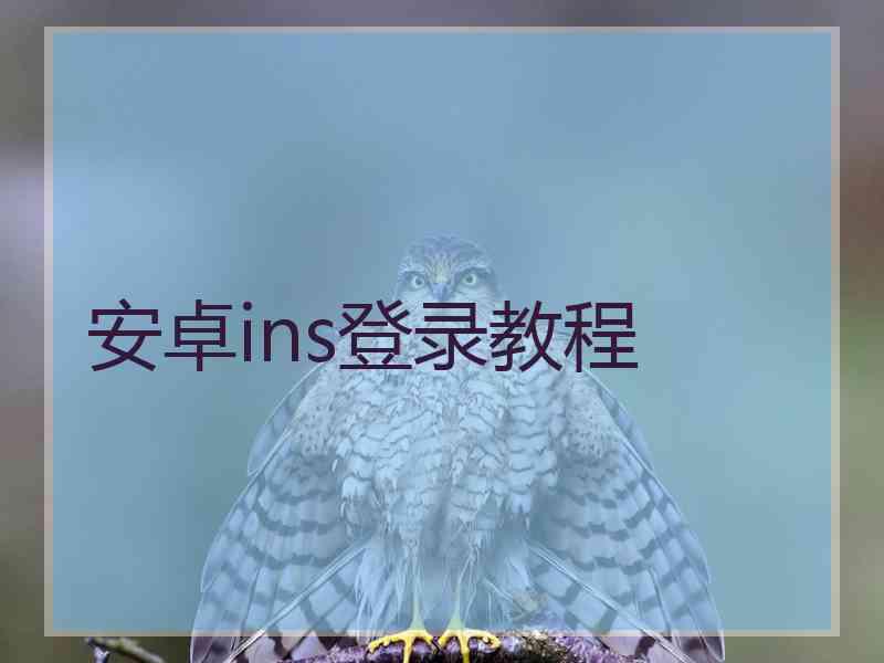 安卓ins登录教程